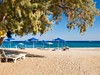Stafilia #4